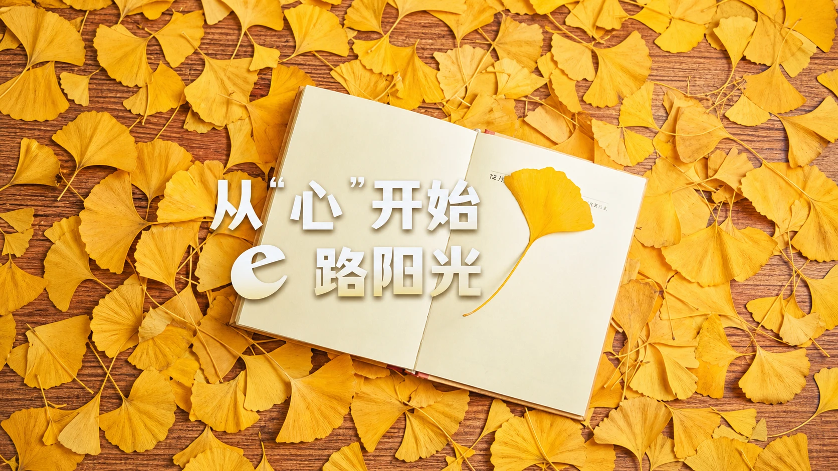 同心知联 - 党外知识分子联谊会
